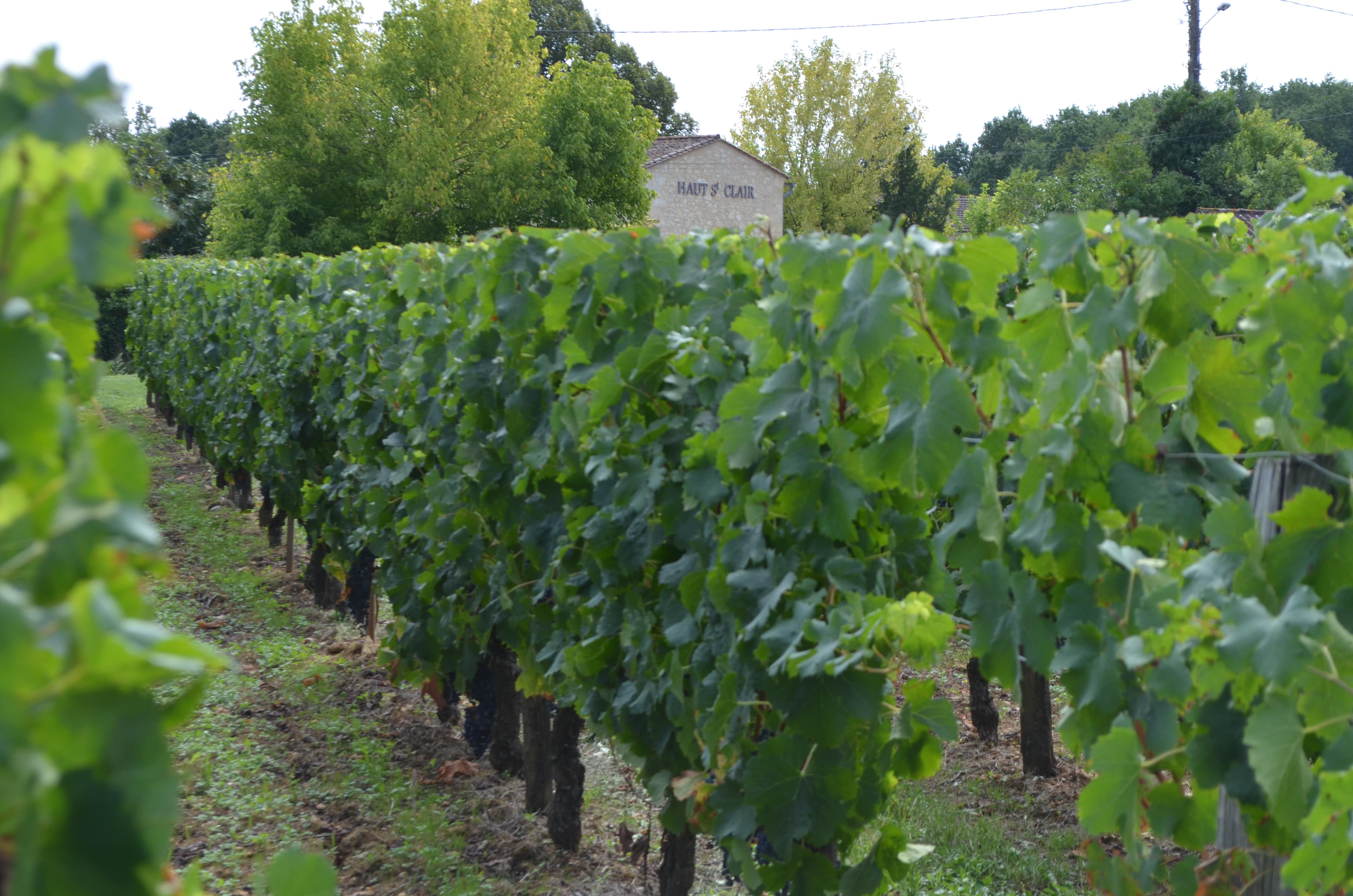 Image du chateau