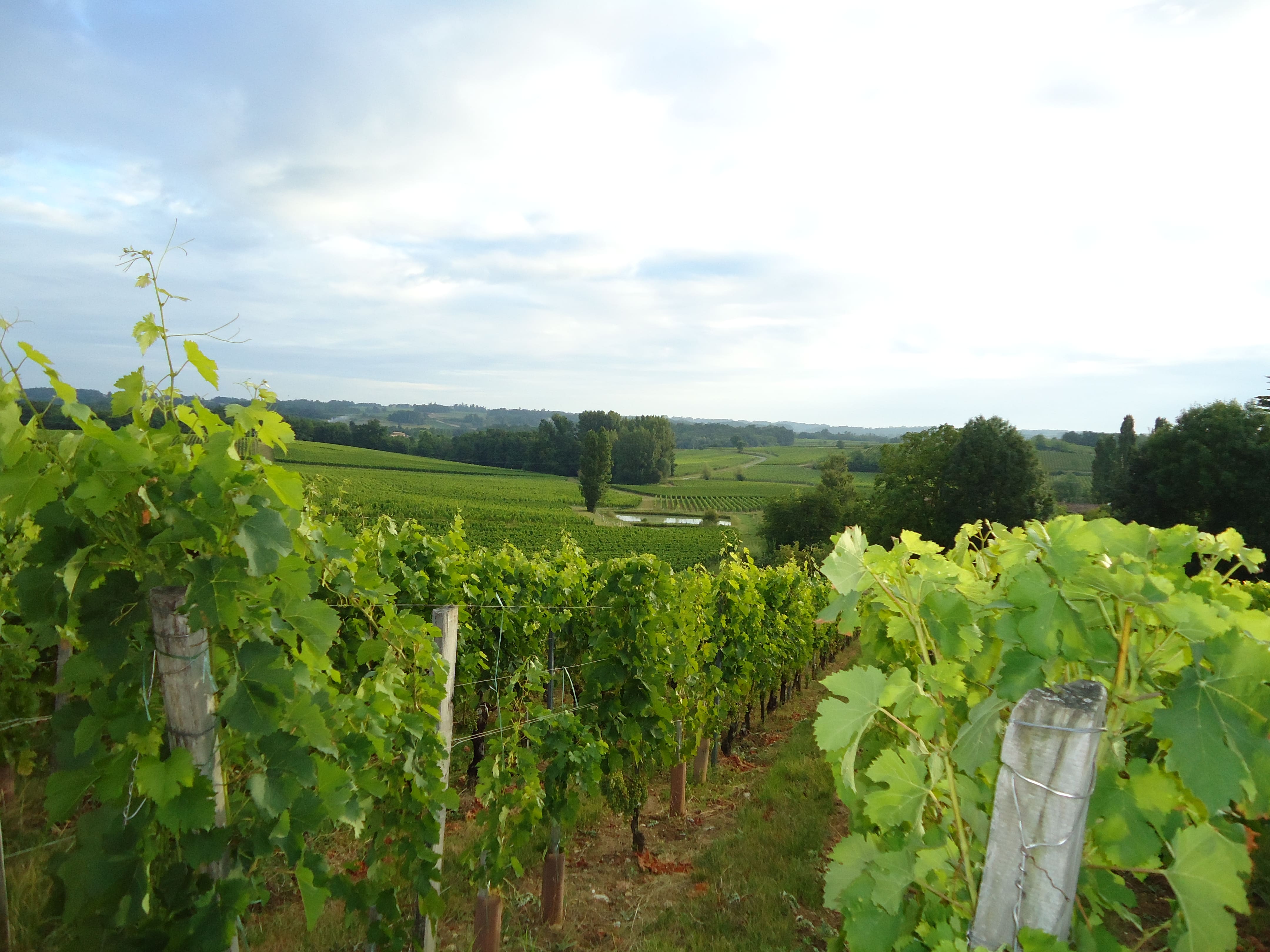 Image du chateau