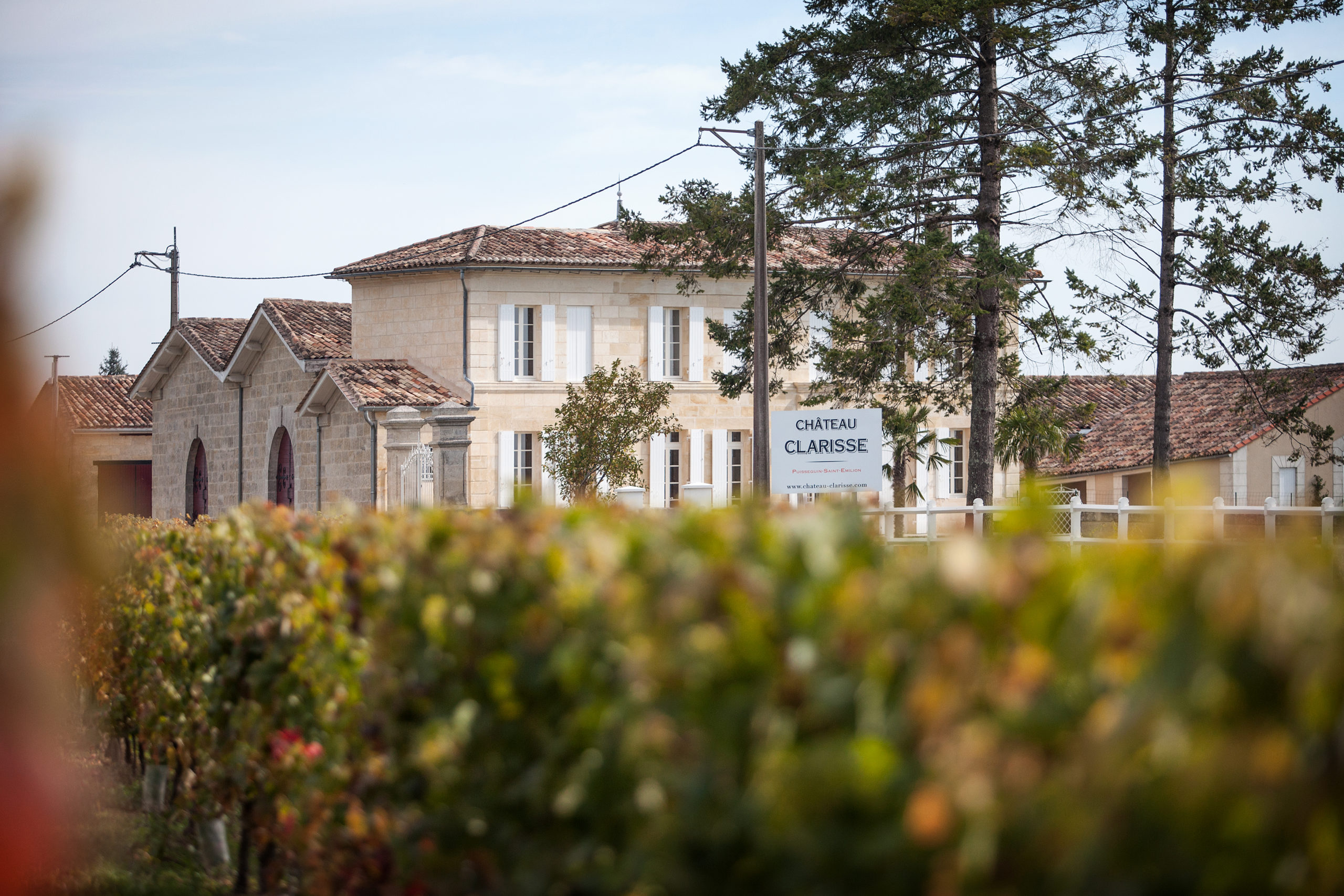 vignoble château clarisse