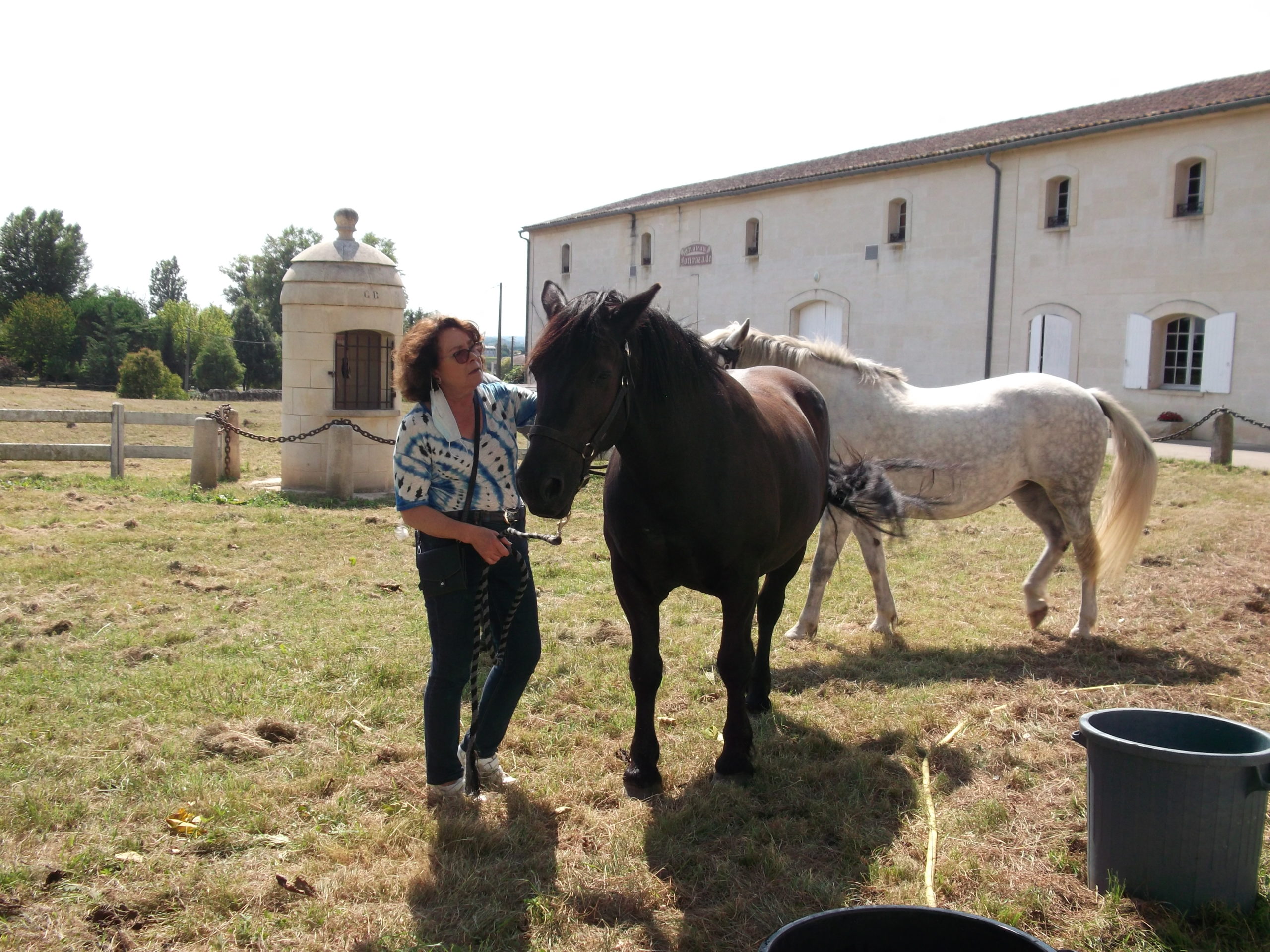 Fabienne BALOTTE sur sa propriété avec des chevaux