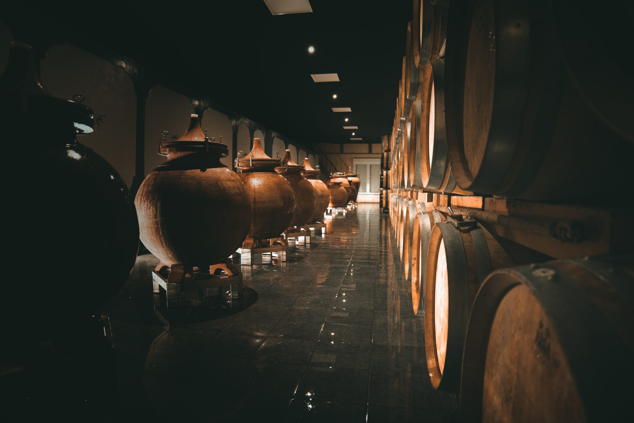 Intérieur du Chai du Château Beynat avec barriques et amphores