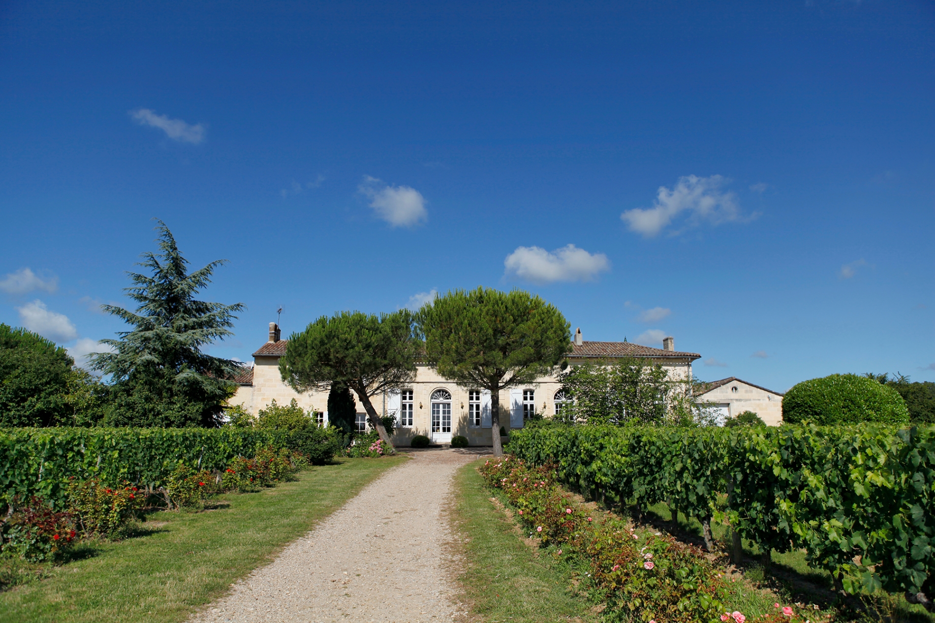 chateau bel air lussac saint emilion