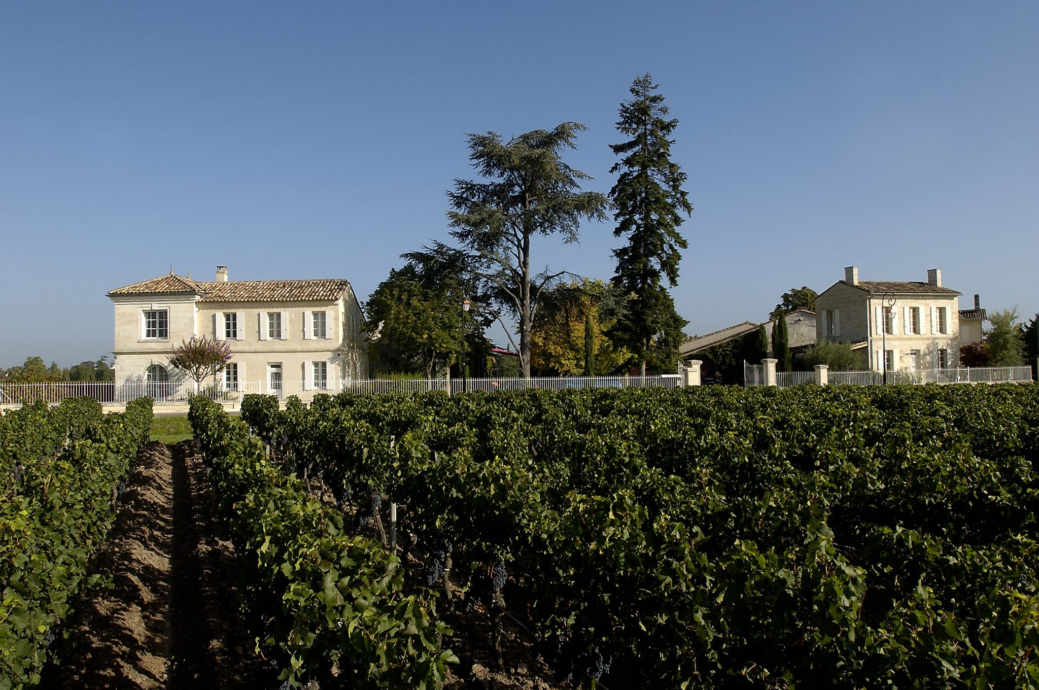 château du vignoble rolland maillet