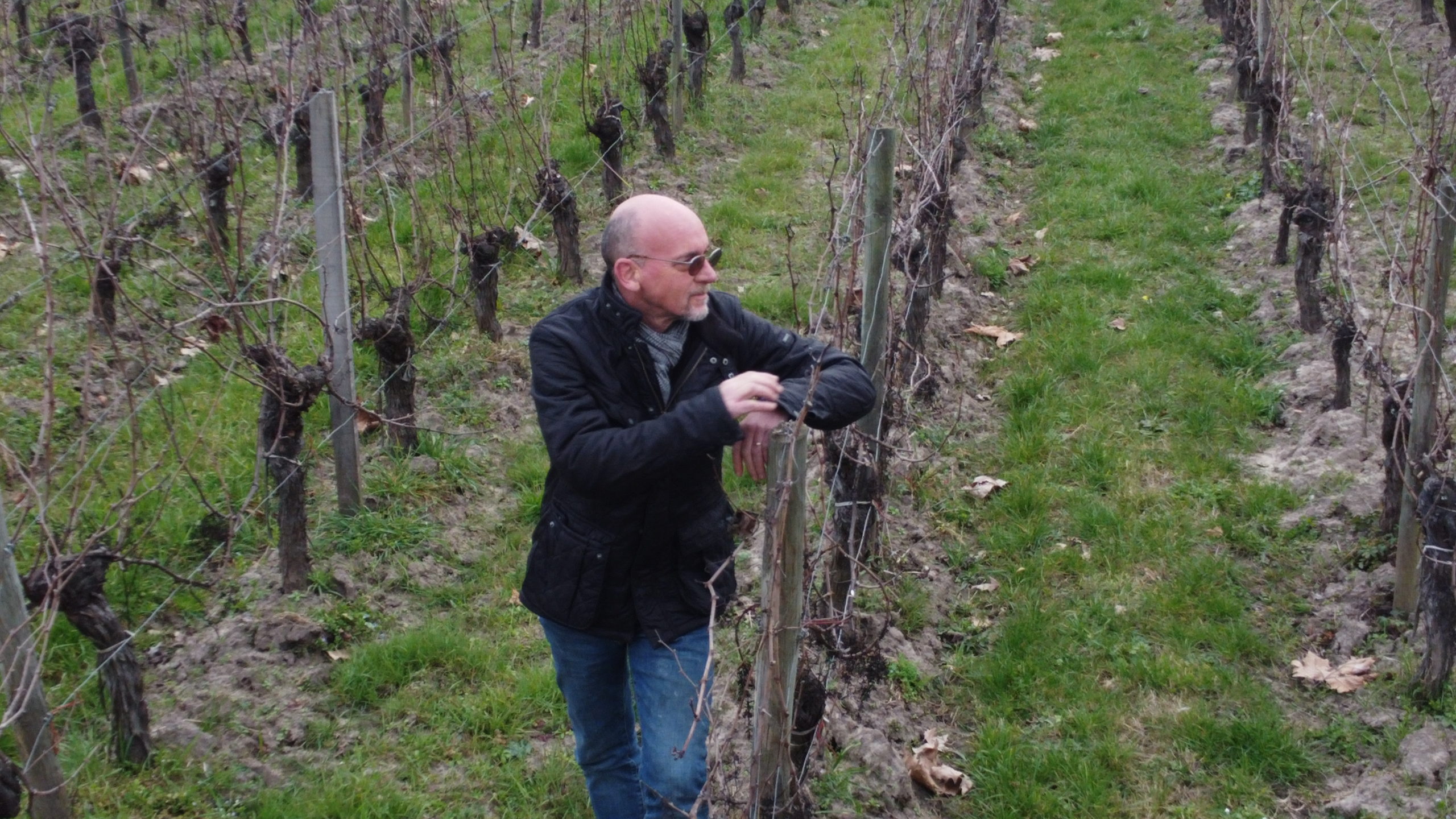 Stéphane Apelbaum dans les vignes du Clos Antico