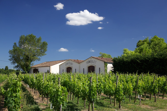 Chateau Trimoulet Saint-Emilion Grand Cru