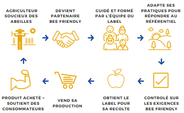 explication schema beefriendly