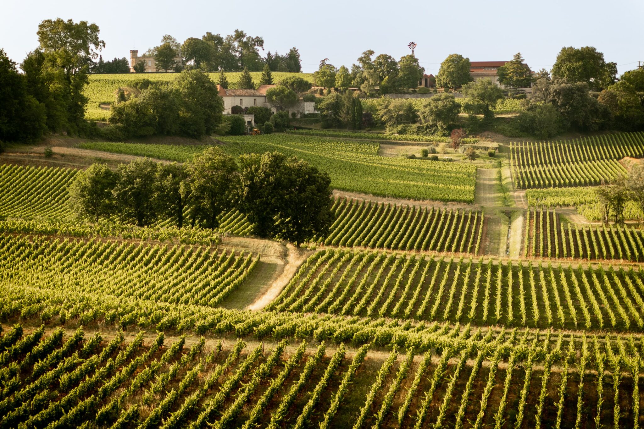 environnement et vignoble de saint emilion