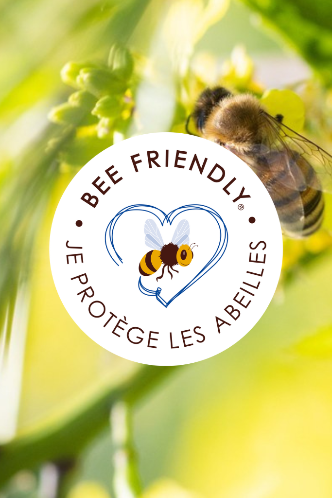 certification beefriendly à saint emilion