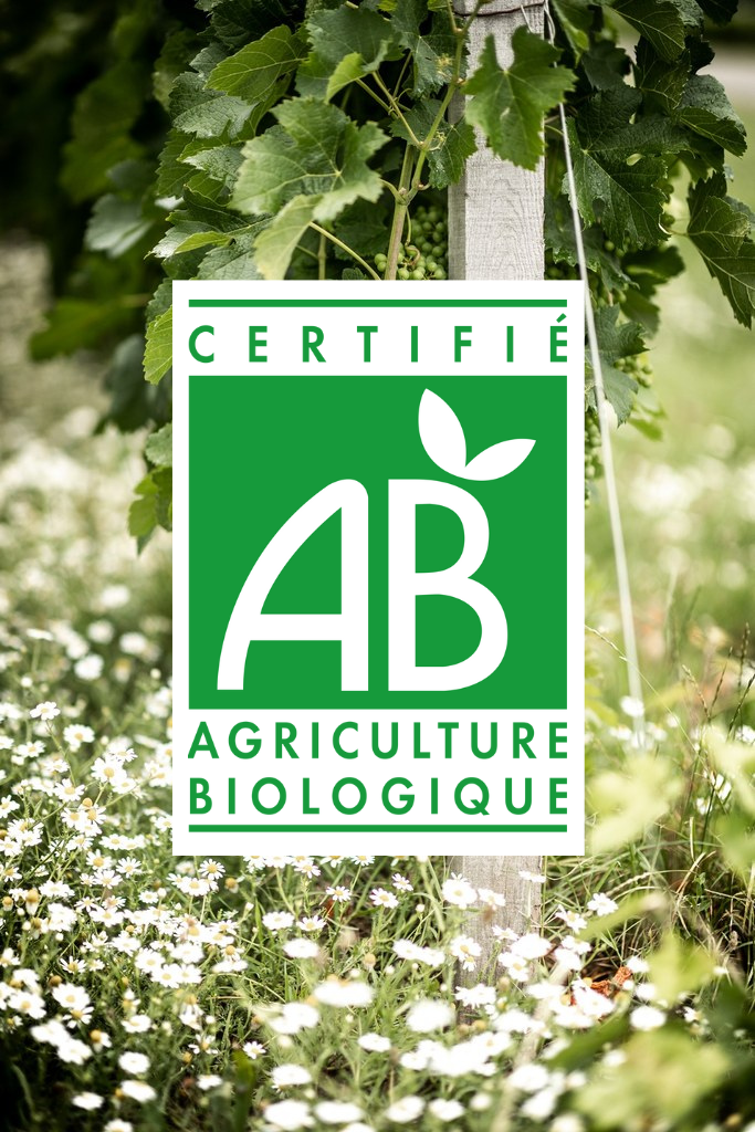 la certification agriculture biologique à saint emilion