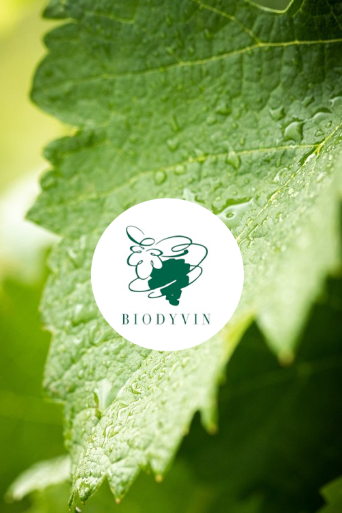 certification biodyvin saint-emilion