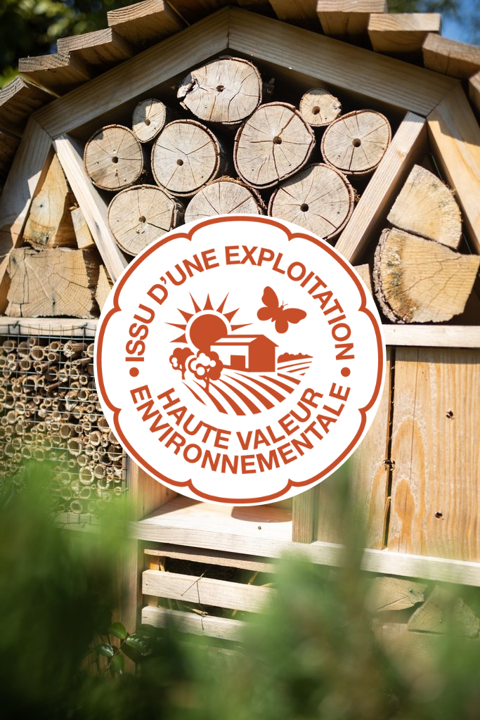 certification haute valeur environnementale saint-emilion