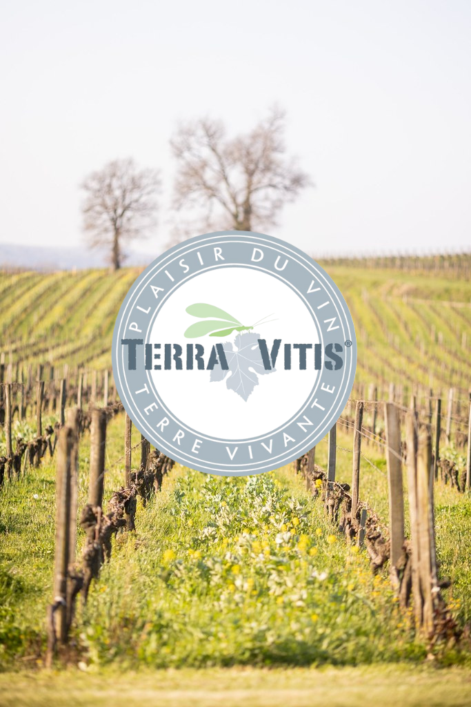 certification terra vitis dans le vignoble de saint-emilion