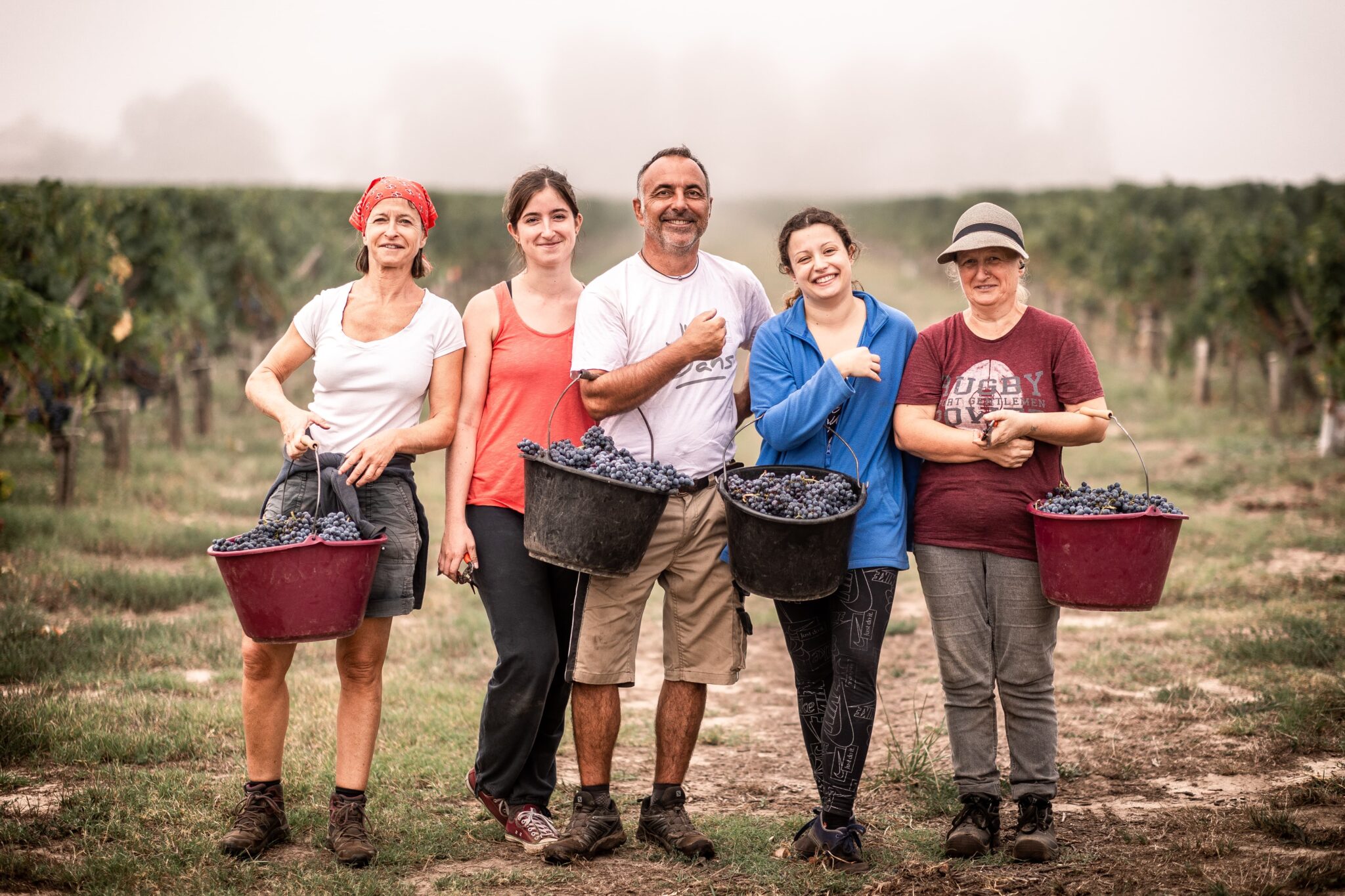 les vignobles de saint-emilion impliqués dans une responsabilité sociale environnementale