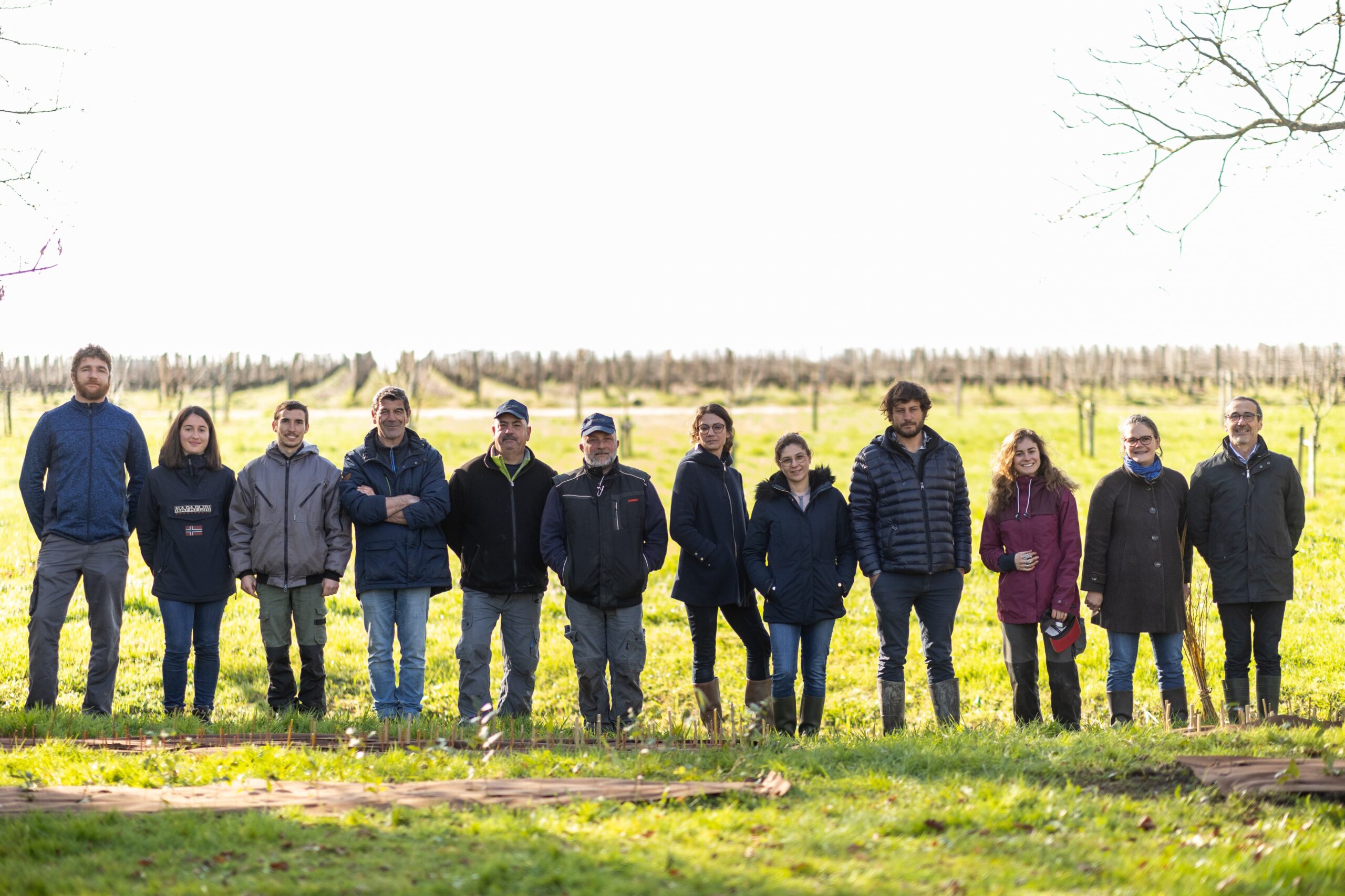 les viticulteurs de saint-emilion engagés pour l'environnement