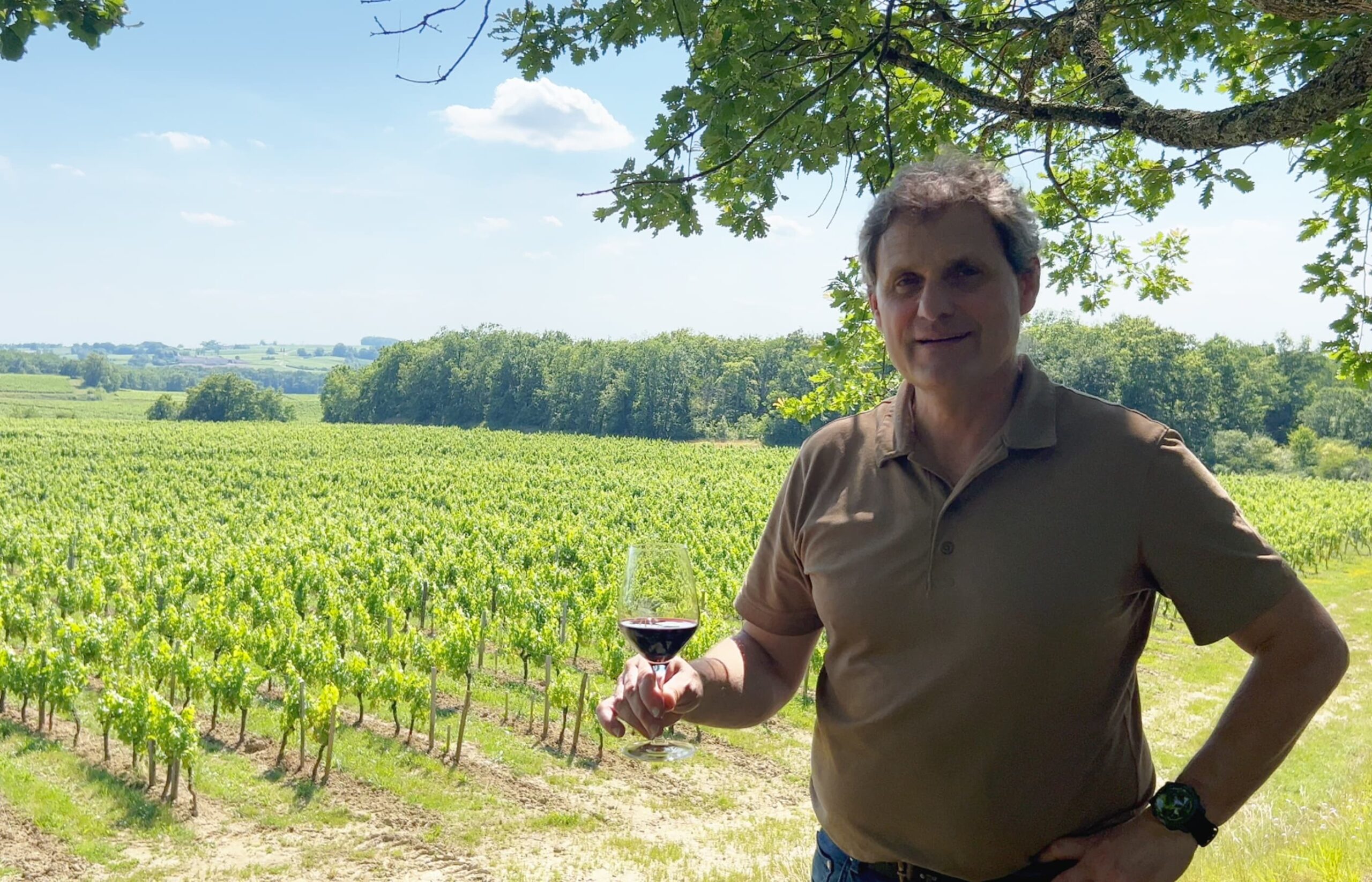 directeur technique propriete rothschild à saint emilion