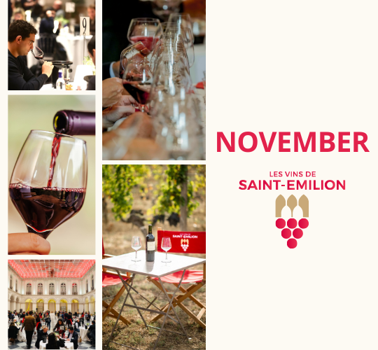 saint-emilion wine fair in november 2025