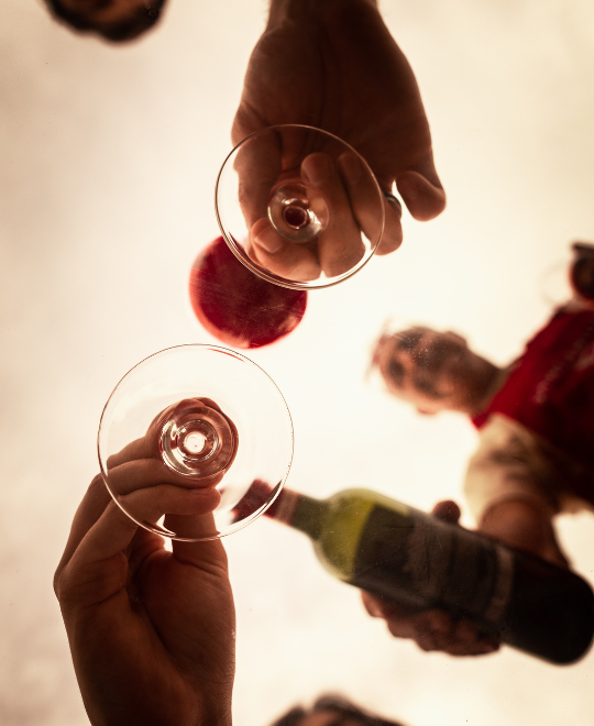 salon des vignerons façon foire aux vins à bordeaux
